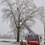 2017-02-03_freimachen_verkehrsweg004