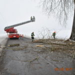 2017-02-03_freimachen_verkehrsweg005