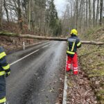 Einsatz Sturmschaden