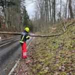 Einsatz Sturmschaden