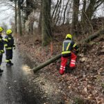 Einsatz Sturmschaden