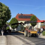 2025-04-30-maibaum (5)
